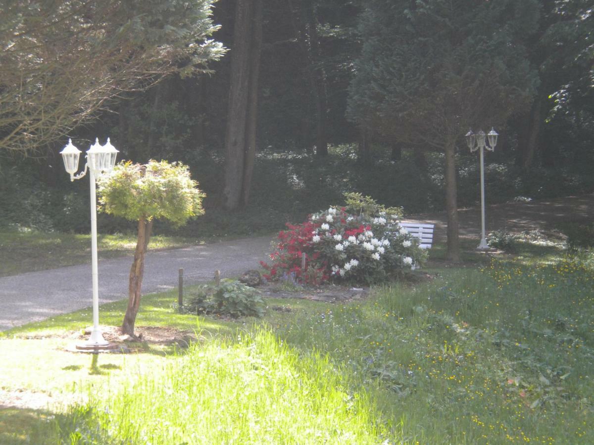 Buchschneider - Ferienhaus Maier - Landhof Schwarzautal Exterior photo